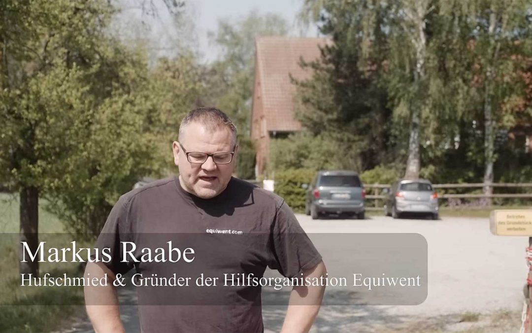 Wird Finn leben? – Die Pferderetter gegen Hufkrebs