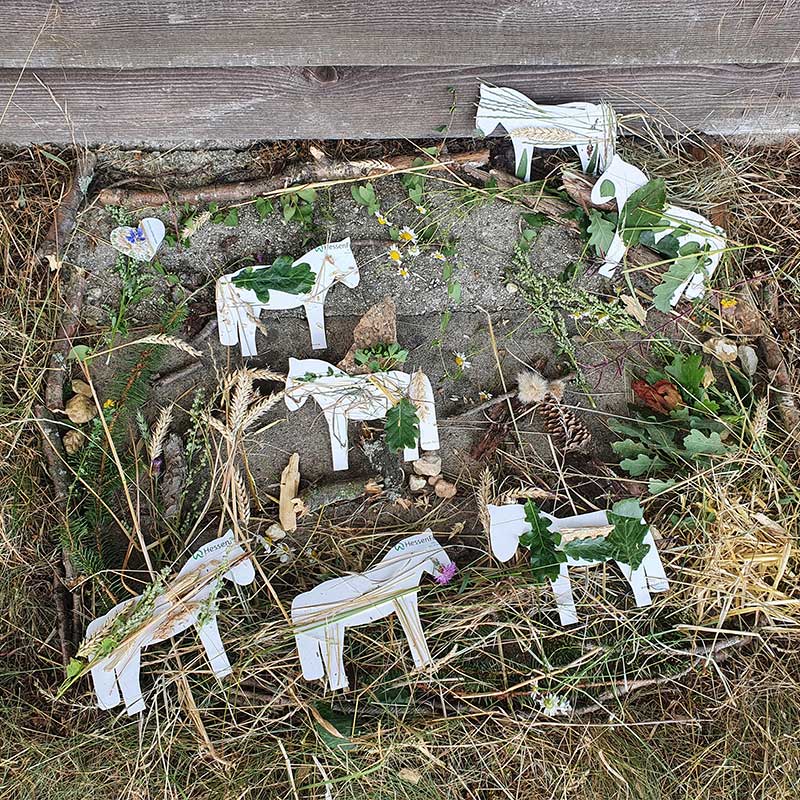 Sinnesgarten-2